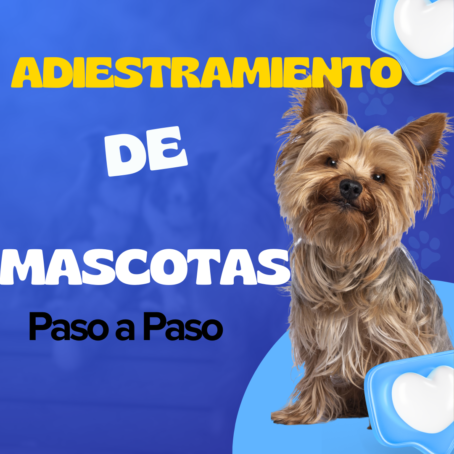 Adiestramiento de Cachorros